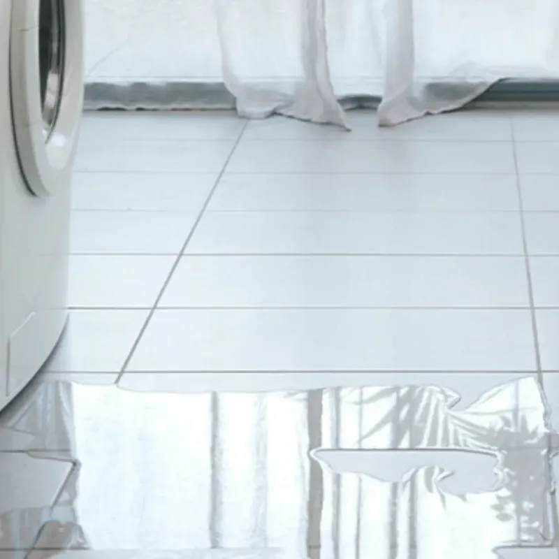 Appliance Leak Cleanup in Ives Estates, FL