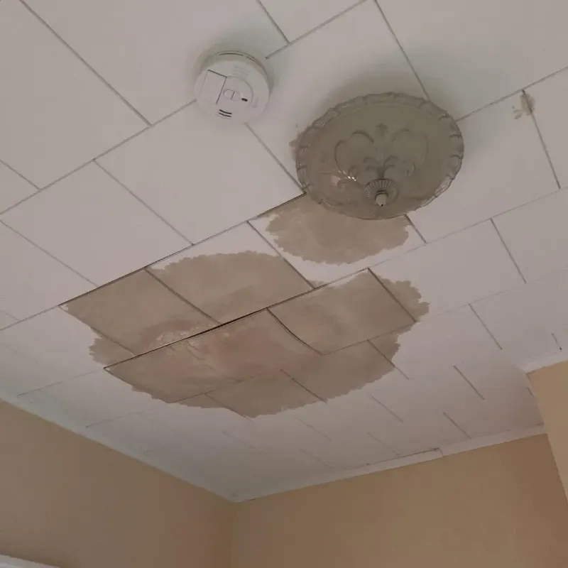 Ceiling Water Damage Repair in Ives Estates, FL