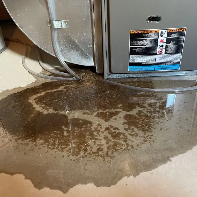 Pipe Burst and Leak Restoration in Ives Estates, FL