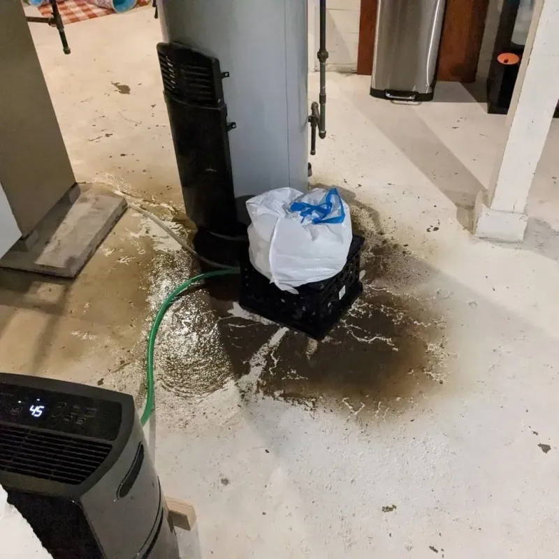 Sewage Backup Cleanup Service in Ives Estates, FL